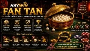 haywin fantan